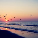 Best places to visit in Bangladesh