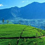 Best places to visit in Sri Lanka