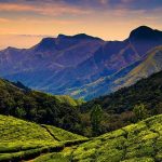 কোদাইকানাল, ভারত ভ্রমণ গাইড