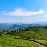 মুন্নার, কেরালা ভ্রমণ গাইড