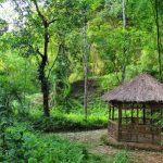 খাদিমনগর জাতীয় উদ্যান ভ্রমণ গাইড