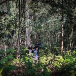 রেমা-কালেঙ্গা অভয়ারণ্য ভ্রমণ গাইড